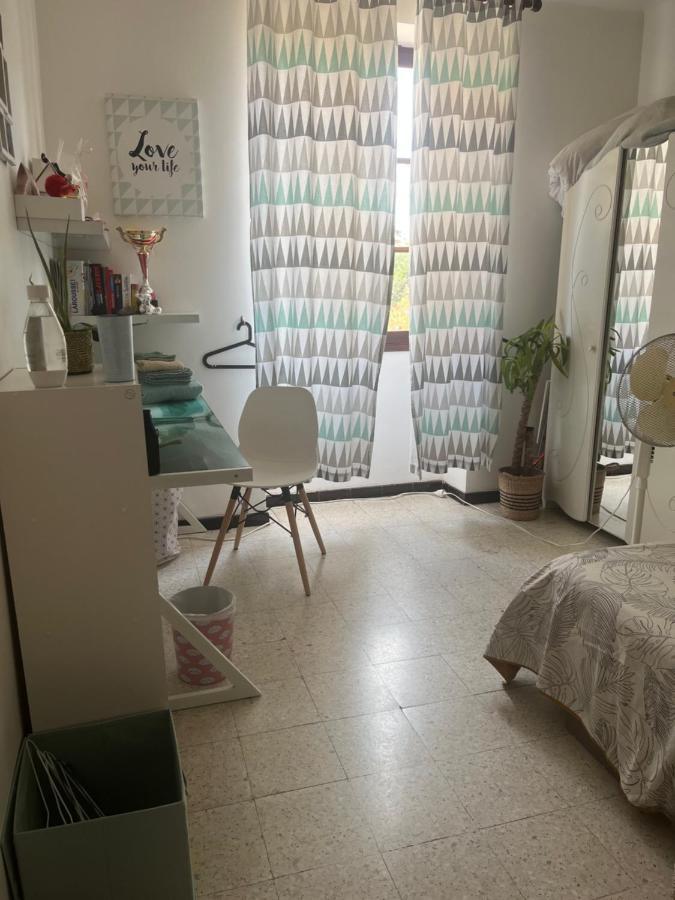 דירות אז'אקסיו Pozzo Di Borgooo מראה חיצוני תמונה